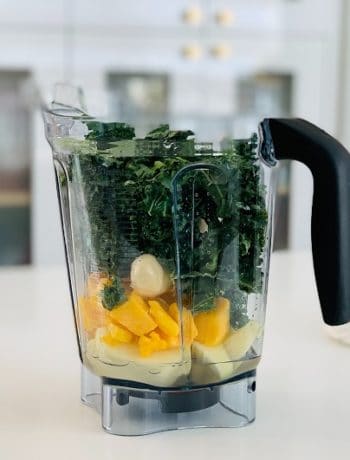 What Is The Most Expensive Blender?