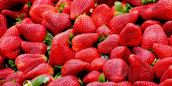 why do eating strawberries make me sick