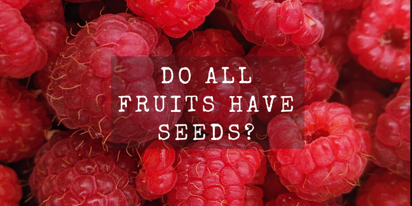 What Is The Only Fruit That Does Not Have Seeds