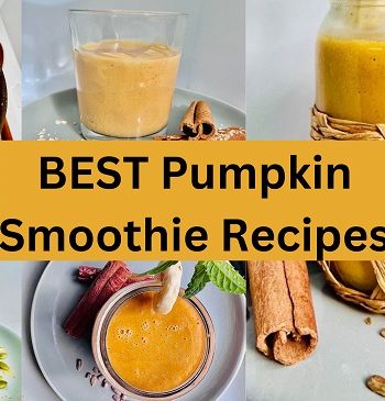 Best Pumpkin Smoothie Recipes