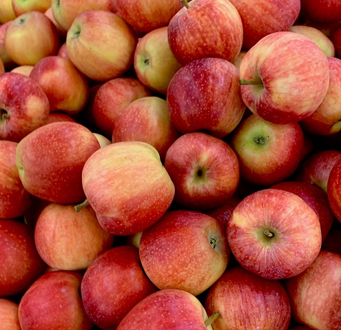  Sweetest Apples