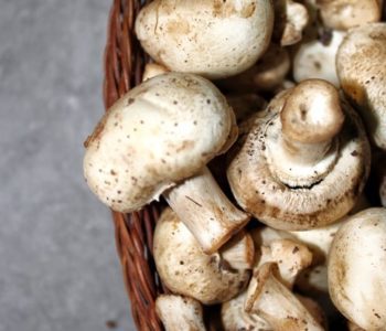 Can You Eat Mushrooms Raw