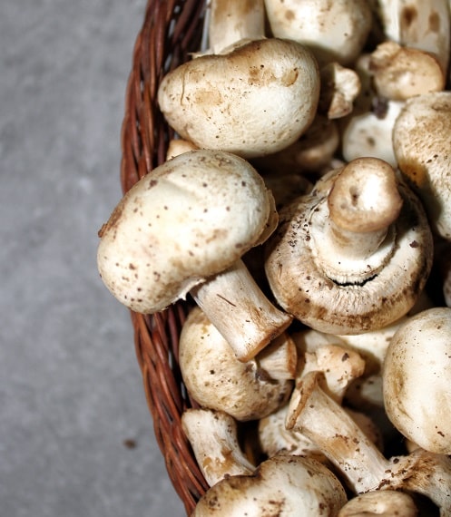 Can You Eat Mushrooms Raw