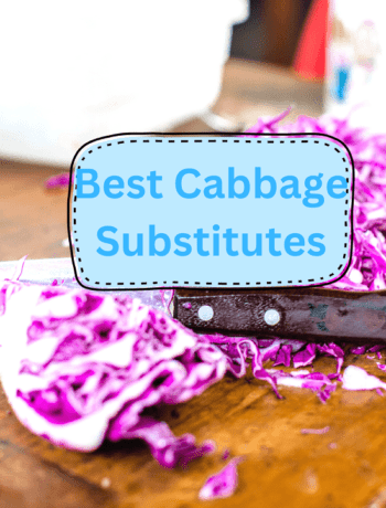 Cabbage Substitute