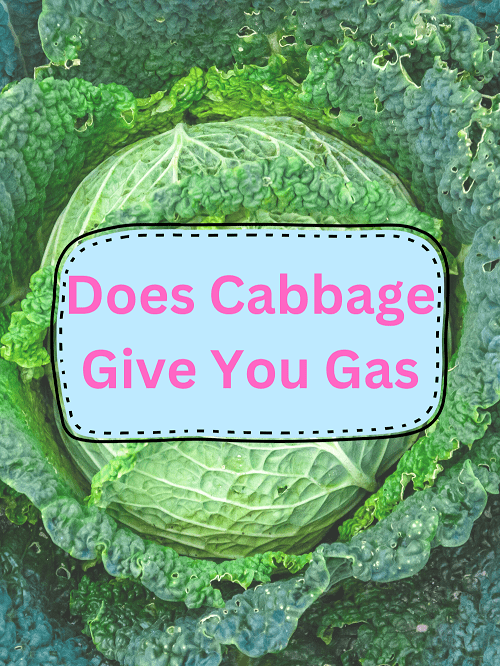 Does Cabbage Give You Gas