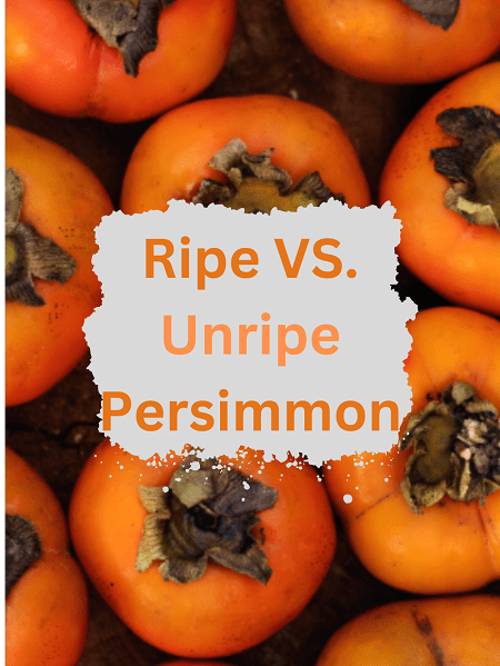 How To Tell When Is Persimmon Ripe