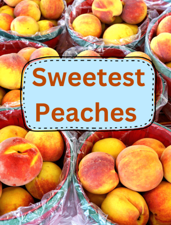 Sweetest Peaches