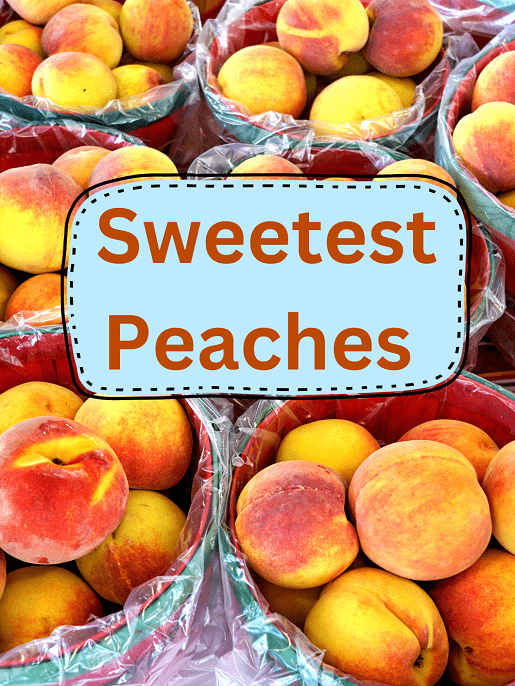 Sweetest Peaches