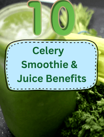 Celery Smoothie and Juice Benefits