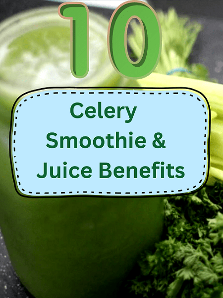 Celery smoothie outlet benefits