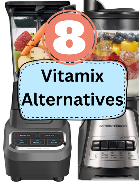 Best Vitamix Alternatives