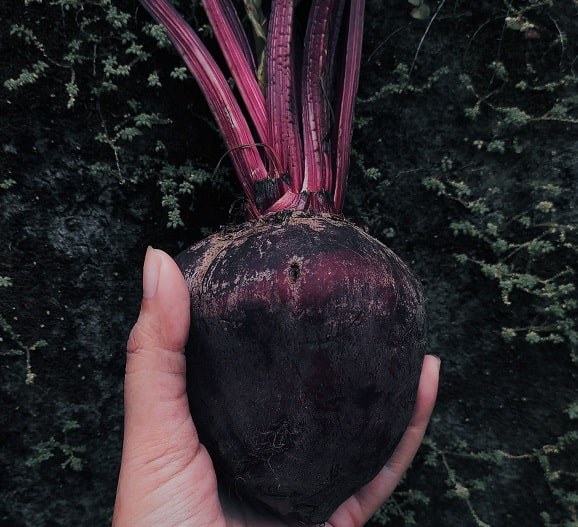 man holding a beetroot