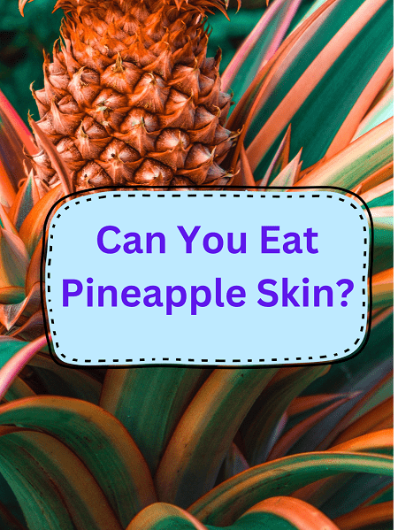 Can You Eat Pineapple Skin