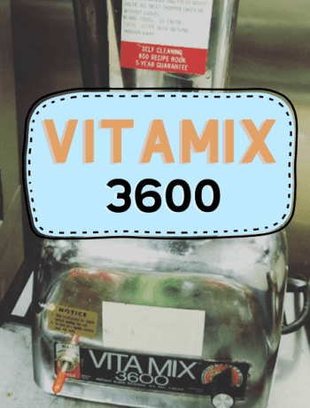 Vitamix 3600 Review