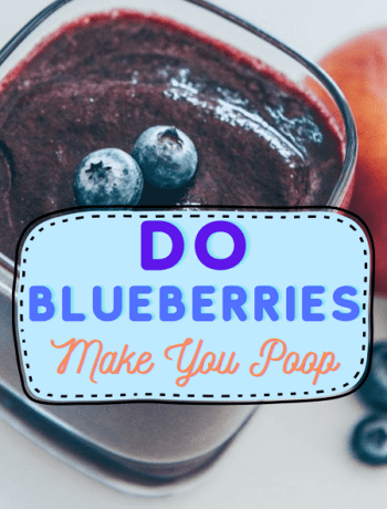 Do Blueberries Make You Poop