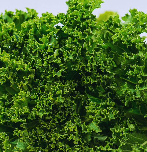 Best Greens For Smoothies - kale