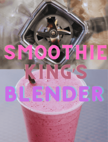 What Blender Does Smoothie King Use